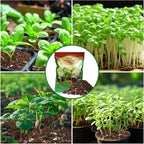 Doter Seed Starter Potting Soil Mix 4qt, Seed Starting Mix for Germination and Growth, Loamy Compost Well-Drainaged Soil Fit for Vegetable, Flower, houseplant