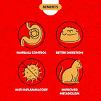 Miracle Care Cat A'bout Cat Grass Kit for Indoor Cats, 5.25 Ounce, Hairball Control, Anti-Inflammatory, Improves Digestion and Metabolism
