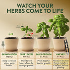 HOME GROWN Herb Garden Planter Indoor Kit – Unique Christmas Gift for Adults, Men, & Women - Grow 4 Heirloom Herb Seeds on Kitchen Window – Beginner DIY Craft & Hobby Gardening Gift for Plant Lovers