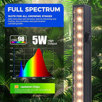 Barrina T5 Grow Lights, 1FT Grow Light Fixture for Indoor Plants Full Spectrum, Black Cover LED Plant Grow Light Bulbs for Indoor Plants, Greenhouse, Plug and Play, Linkable Design, Yellow, 8 Packs
