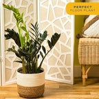 Costa Farms Raven ZZ Plant, Easy Care Indoor Houseplant, Potted in Decorative Plant Pot with Soil, Room Decor for Tabletop, Shelf, or Office Desk, Trending Tropicals Collection, 22-Inches Tall