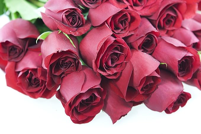 KaBloom - Bouquet of Long Stemmed Red Roses (Two Dozen) - Without Vase - Fresh Flowers for Birthday, Valentine's & Mother's Day