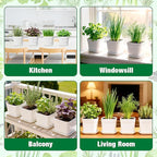 12 Herb Garden Kit Indoor - 42 Pcs Complete Kitchen Window Herbs Seeds Growing Starter Set Kit Gardening Gift Birthday Housewarming Christmas Gift for Women Her Mom Men Home Chefs Gardener Beginner