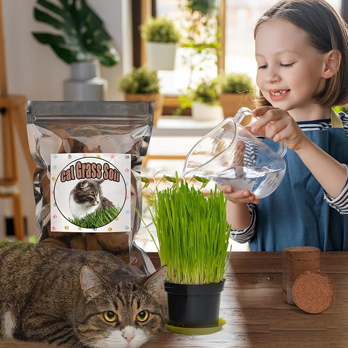 Doter Organic Potting Soil for Indoor Cat Grass, Great Seedling Soil for Wheat Grass, Bermuda, Catnip, and All Indoor Herb Plants