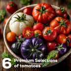 12-Pod Tomato Seed Kit Compatible with All Hydroponics, 6 Pack Varieties: Cherry Tomato, Beefsteak, Black Cherry, Cherokee Purple, Sweet Million, Brandywine, Easy to Grow, High Germination