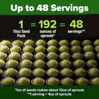 HOME GROWN Non GMO Alfalfa Sprout Seeds 16oz Bulk Pack with Thousands of Seeds Alfalfa for Sprouting & Microgreens Indoor Outdoor Growing Resealable Bag High Germination