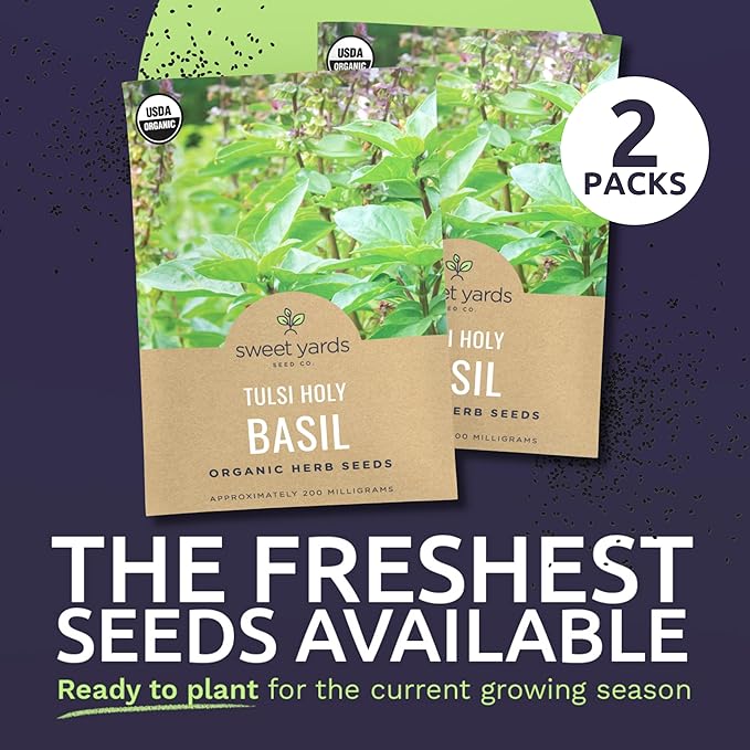 Organic Holy Basil Seeds ‘Tulsi’ – Two Seed Packets! – Over 1,706 Open Pollinated Non-GMO Seeds – Sweet Yards Seed Co.