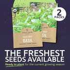 Organic Holy Basil Seeds ‘Tulsi’ – Two Seed Packets! – Over 1,706 Open Pollinated Non-GMO Seeds – Sweet Yards Seed Co.