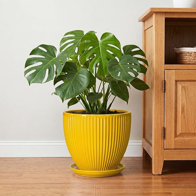 Ceramic Planters for Indoor Plants, 10 Inch Plant Pot Indoor with Drainage Hole and Saucer, Modern Large Flower Pots for Indoor Plants, Round Planter, Home Garden Decor, Gardening Gifts, Yellow