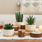 Artificial Succulent Plants in Ceramic Pots, Faux Assorted Succulents Fake Cactus Plants for Home Decor, Bedroom, Office, Desk, Living Room, Set of 3…