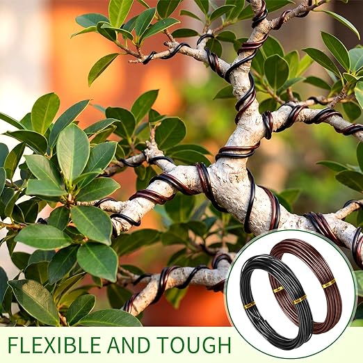Mudder 5 Roll Aluminum Bonsai Training Wire Tree 160 Feet Total with Bonsai Wire Cutter Anodized Training for Holding Branches Small Trunks (1/1.5/2.0/2.5/3mm,Classic)