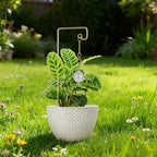 2 Pack Trellis for Potted Plants with Crystal Sun Catcher, Small Metal Garden Trellises for Climbing Plants Outdoor Indoor, Home Flower Vine Pot Plant Decor