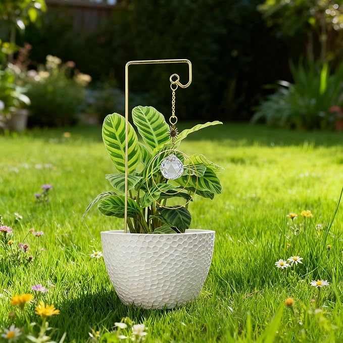 2 Pack Trellis for Potted Plants with Crystal Sun Catcher, Small Metal Garden Trellises for Climbing Plants Outdoor Indoor, Home Flower Vine Pot Plant Decor