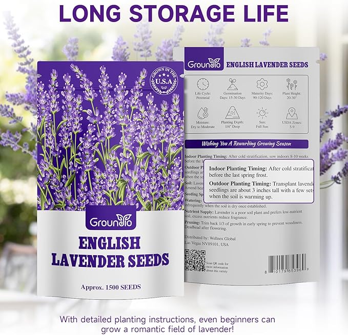 Groundio 1500+ English Lavender Seeds for Planting, Non-GMO | Heirloom | High Germination Dwarf Lavender Herb Seeds for Indoor & Outdoor Pollinator Attract (Lavandula Angustifolia)