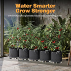 Patigrow Self-Watering Grow Bags, 5-Pack 10 Gallon 420G Thick Nonwoven Fabric Pots with Reinforced Handles and Multi-Purpose Rings, for Low Stress Plant Training Fruits, Vegetables,and Flowers