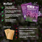 KVITER 600 Marsh Blazing Star Seeds for Planting (Liatris Spicata) – Gayfeather Dense Meadow Blazing Star Seed Packet – Heirloom Seed, Perennial Wildflower Seeds Bulk for Garden, Containers, Outdoors