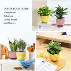 Selamica Ceramica Plant Pots, 6.5 Inch Flower Pots Set of 2 with Drainage Holes & Saucer, Planters for Indoor Plants, Home Decor, Assorted Colors