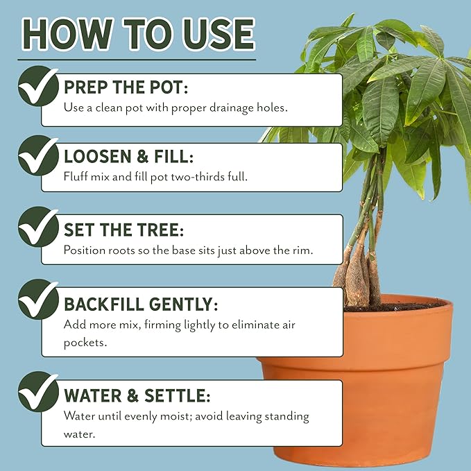 Money Tree Soil (4 Quarts), Potting Mix for Planting/Repotting Pachira Aquatica, All-Natural Custom Soil Blend