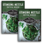 Stinging Nettle Seeds for Planting - Urtica Dioica Medicinal Herb & Edible Perennial - Common Nettle for Tea, Cooking & Wellness - Heirloom Non-GMO - Survival Garden Seeds (2 Packs)