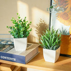 Der Rose 2 Pack Small Fake Plants Mini Artificial Potted Plants for Table Desk Home Laundry Room Bathroom Office Decor