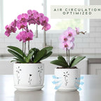 2 Pack, 5 + 6 Inch White Orchid Pots with Holes and Saucer, Ceramic Orchid Planters for Repotting with Drainage Holes and Tray, Plant Flower Pot containers for Orchid Indoor Outdoor