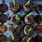 ZeeDix 100 Pcs (40mm) Peat Pellet Fiber Soil Plant Seed Starters - Seed Starter Pellets Pods Compressed Peat Pellets for Grow Herbs, Plant, Flowers and Vegetables