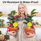 36PCS Fruit Fly Sticky Traps Fungus Gnat Traps Insect Trap for Plants Kitchen Indoor Outdoor White Flies Mosquitos Fungus Gnats Flying Insects Houseplant Gifts (Apple Shape)