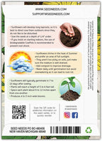Seed Needs Sunflower Seeds for Planting Lemon Queen Sunflowers - Heirloom & Open Pollinated Flower Seed to Plant & Grow an Outdoor Home Grown Butterfly Garden (2 Packs)