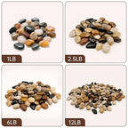 RITOLLO 12 lb River Rocks Pebbles for Indoor Plants 3/8-1 Inch Natural Aquarium Gravel Decorative Fish Tank Rocks Garden Landscaping Decor