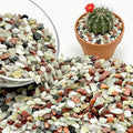 Gravel for Plants, 3/8 Inch Pebbles Polished Decorative Aquarium Gravel - Small River Rocks for Fish Tank, Succulent, Vase, Bird Bath, Garden Landscaping and Top Dressing-3LB