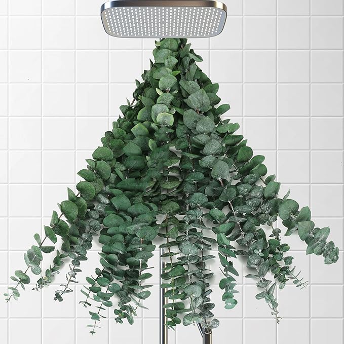12 Pcs Dried Eucalyptus Stems for Shower, 17'' Natural Real Live Eucalyptus Leaves Branches Hanging Shower Plant for SPA Home Fragrance Bathroom Table Vase Decor