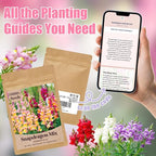 10000+ Snapdragon Seeds Bulk Pack, 5-Color Mixed Snapdragon Flower Seeds for Planting, Antirrhinum Majus Seeds for Borders, Pots, Flower Beds & Cut Flower Gardens, Instructions Included