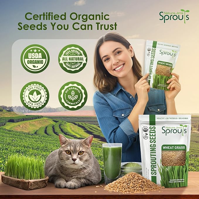 Nature Jims Sprouts Wheat Grass Seeds – Non-GMO Organic Seeds for Planting, Cat Grass for Growing & Sprouting – Resealable Bag for Fresh Wheatgrass Sprouts – Vitamins, Minerals, & Fiber-Rich –16oz