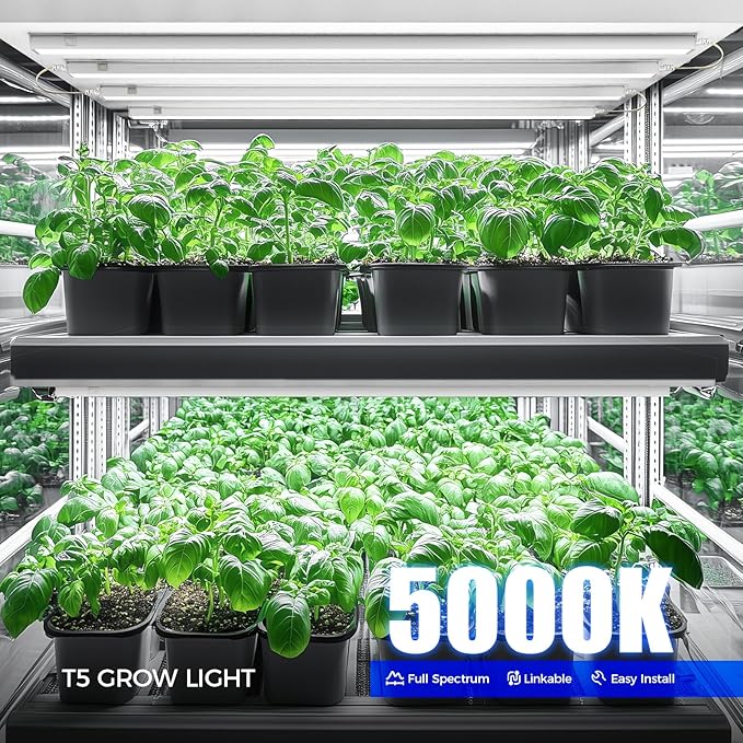 Barrina T5 Grow Lights for Indoor Plants, 4FT 160W (8 X 20W) Full Spectrum Grow Light with Separate Switch, Linkable Grow Lamp, Indoor Plant Lights for Growth, Plug and Play, 5000K, 8 Packs