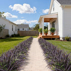 16 Pcs Artificial Plants Outdoor Fake Grass Faux Greenery Stems UV Resistant Plastic Plants Shrubs for Planters Patio Garden Front Porch Pathway Spring Summer Home Decor, Purple