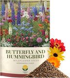 Butterfly and Hummingbird Wildflower Mix – 30,000+ Seeds – 1 oz Bulk Extra Large Resealable Packet – Non-GMO Open Pollinated Wildflower Seeds