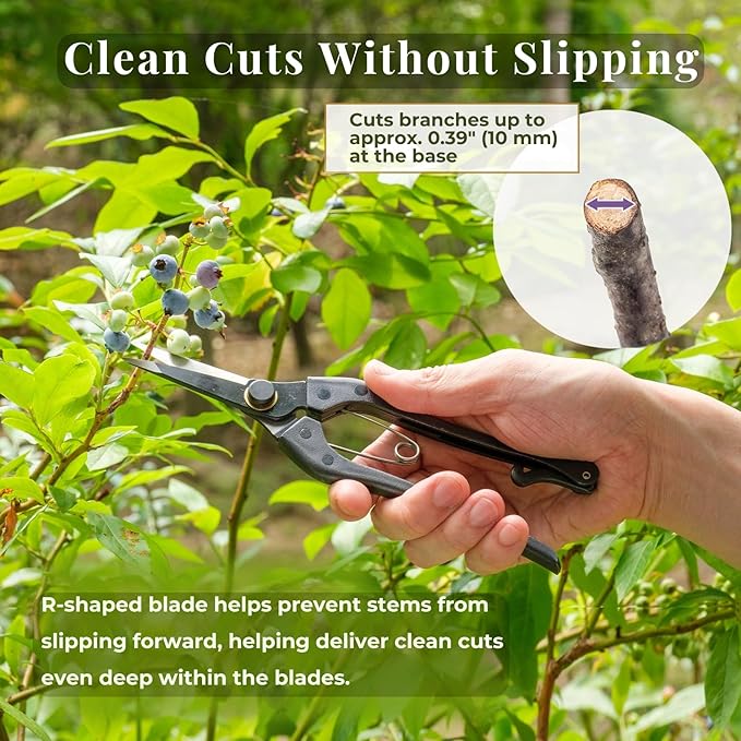 Wablade Japanese-Made Single-Edge Bonsai Pruning Shears, Precision Bud Scissors for Clean, Controlled Cuts on Branches & Stems, Hand Pruner for Flowers & Plants, 10mm Capacity (Single-blade)