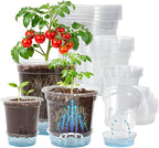 Bluepro 18 Pack 6.5/5/4 Inch Clear Self Watering Plant Pots with Bottom Water Tray & Watering Rope, Transparent Nursery Pots with Drainage for Seedlings, Herbs, and Houseplants