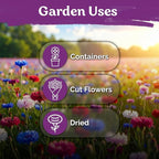 KVITER 800 Mix Bachelor Button Seeds (Centaurea cyanus) – Cornflower Seed Mix, Bachelor Buttons Wild Flowers Seed Packets – Blue Cut Flower Seeds for Planting Indoor & Outdoor Garden, Containers