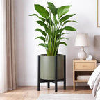 D'vine Dev Planter Pot with Stand - 12 Inch Plastic Cylinder Flower Pot with Wood Planter Holder for Indoor, Olive Pot + Ebony Stand, 55-C-Q-3