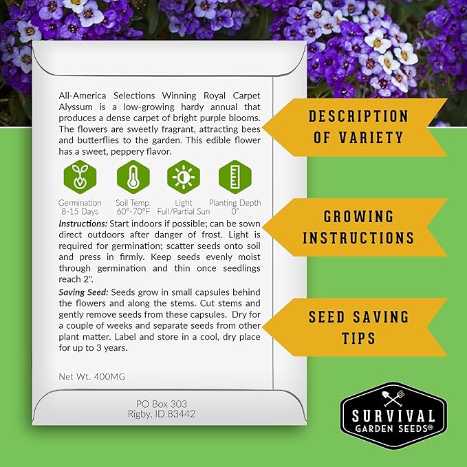 Alyssum Seeds for Planting - Sweet Royal Carpet Purple Variety - Fragrant Perennial Flower & Ground Cover - Heirloom Non-GMO - Survival Garden Seeds (2 Packs)