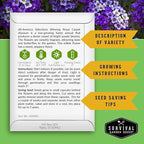 Alyssum Seeds for Planting - Sweet Royal Carpet Purple Variety - Fragrant Perennial Flower & Ground Cover - Heirloom Non-GMO - Survival Garden Seeds (3 Packs)