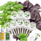 Lyko Basil Seed Pod Kit for AeroGarden, iDoo, Ahopegarden, GARDENCUBE, 7 Pods with Genovese Basil, Mint, Marigold, Borage, Dandelion, Liquorice, Hydroponics Growing System Kits for Indoor Garden