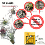ArtAK Wall Planter Set of 5 Wall Air Plant Holder | Orchid Mount | Wall Mounted Plant Hook for Tree Air Knots G5