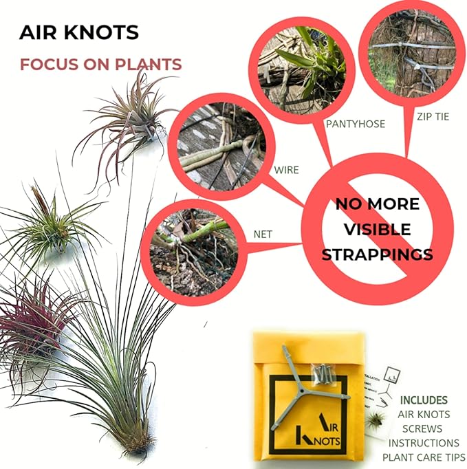 ArtAK Wall Planter Set of 5. Air Plant Holder Orchid Mount Plant Hook | Air Knots S5