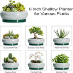 Succulent Pots - 6 Inch Ceramic Pots for Succulent Indoor Outdoor, Small Plant Pot with Drainage Hole and Saucer, Bonsai Pot, Modern Round Planter, Window Decor, Housewarming Gifts, Green