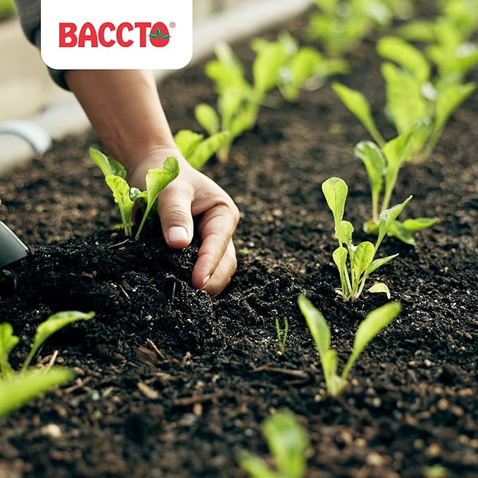 Michigan Peat 1550P Baccto Top Soil for Lawns, Gardens, and Raised Planting Beds with Reed Sedge, Peat, and Sand, 50 Pounds (6 Pack)