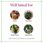 Grow More Cactus Juice (1-7-6) - 16oz of Succulent Fertilizer - Cactus Food for Growth & Root Development - Calcium-Rich Fertilizer for Succulents, Cacti, Snake Plants, & More