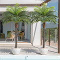 5ft Artificial Phoenix Palm Tree for Outdoor Indoor Decor, Faux Coconut Silk Palm Tree Tropical Fake Tree Plant for Outside Patio Indoor Home Office Bathroom Pool Coastal Decor (Set of 2)