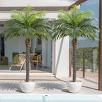 5ft Artificial Phoenix Palm Tree for Outdoor Indoor Decor, Faux Coconut Silk Palm Tree Tropical Fake Tree Plant for Outside Patio Indoor Home Office Bathroom Pool Coastal Decor (Set of 2)